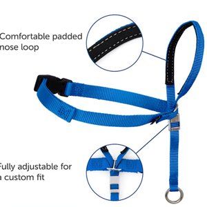 Gentle Leader Collar | Large | Blue